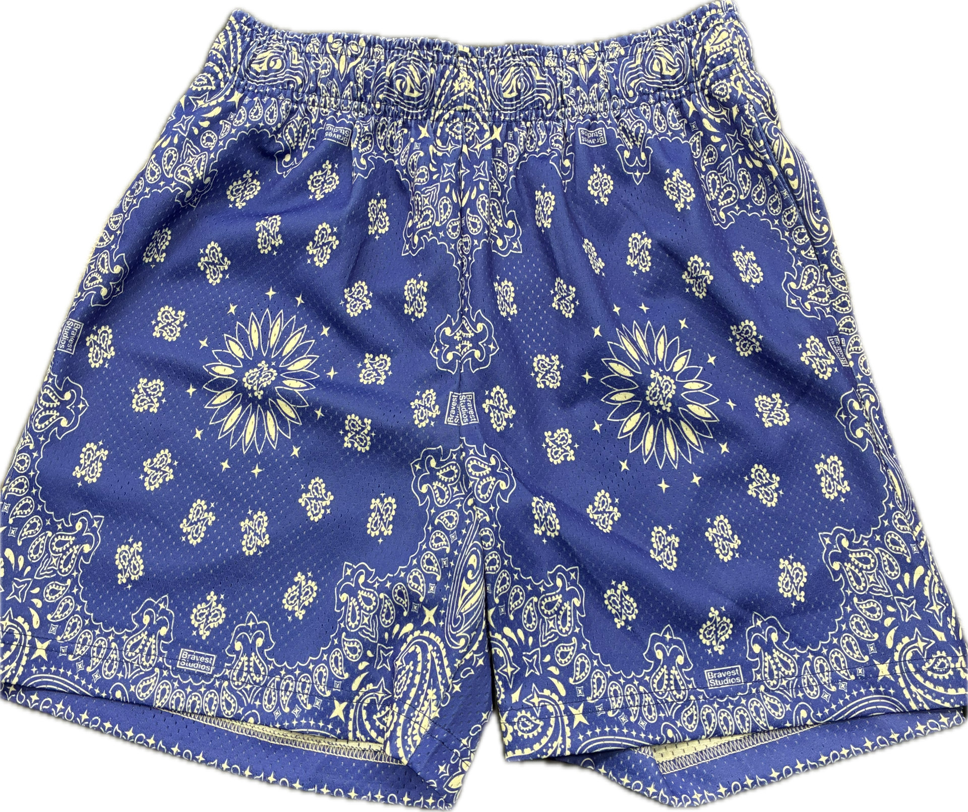 Bravest Studios Blue Paisley Shorts