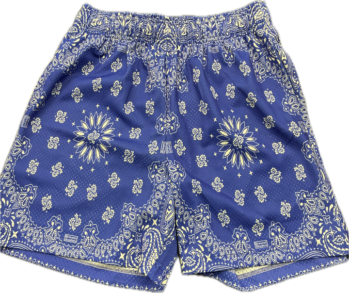 Bravest Studios Blue Paisley Shorts