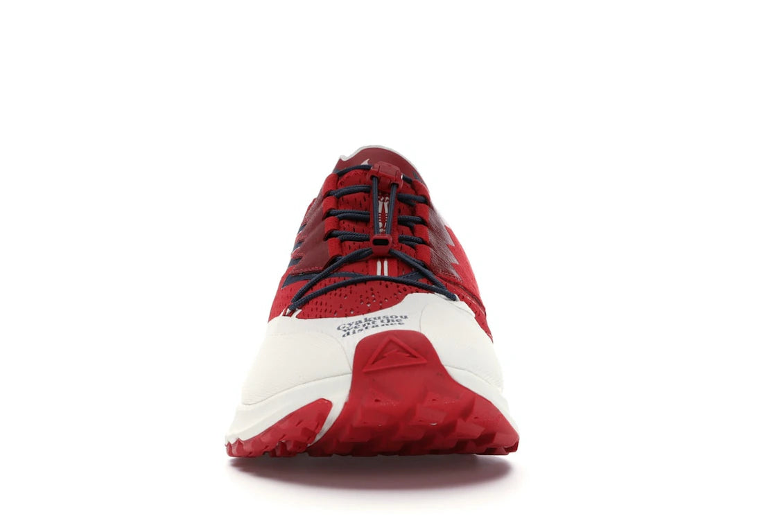 Nike Air Zoom Pegasus 36 Trail Gyakusou Red